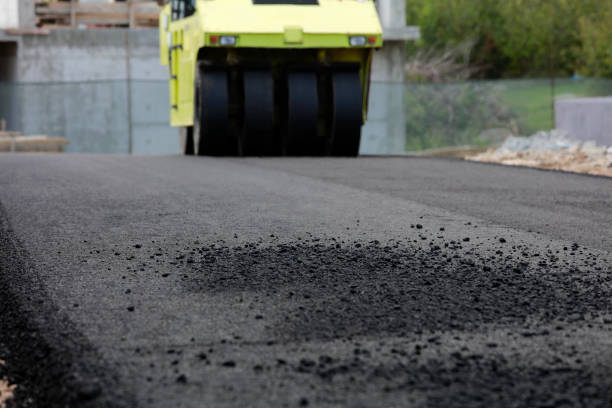 Best Driveway Paving Contractor  in Paris, TX